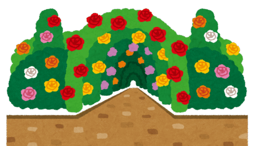 ３２画