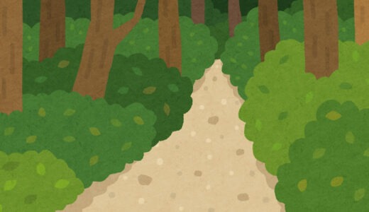 速報屋久島ウルトラエコマラニック