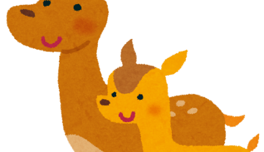 屋久島一周ウルトラecoマラニック2026　その２